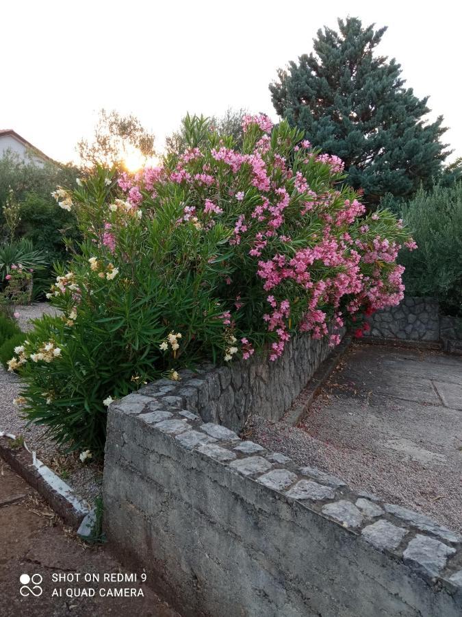 Apartman Kacic Sveti Ivan Dobrinjski Exterior foto